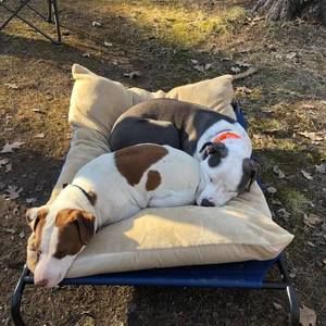 Meet your Posher, Emelia